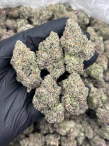 Peach Tree Strain peac tree strain