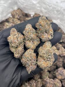 nerds strain