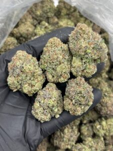 capri sun strain