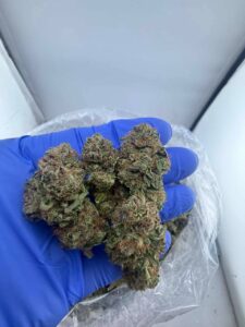 24k Strain 24k strain