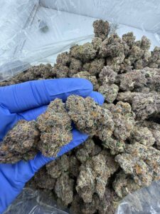 Cherry Taffy Strain cherry taffy strain