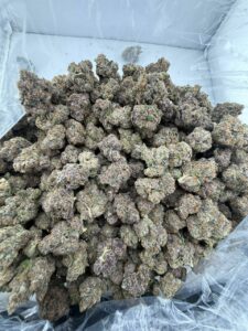 Cherry Taffy Strain cherry taffy strain