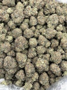 Cupcake Strain cupcake strain