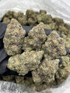 gorilla gas strain