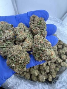 hendrix large strain