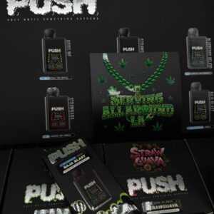 push 2g disposable with screen
