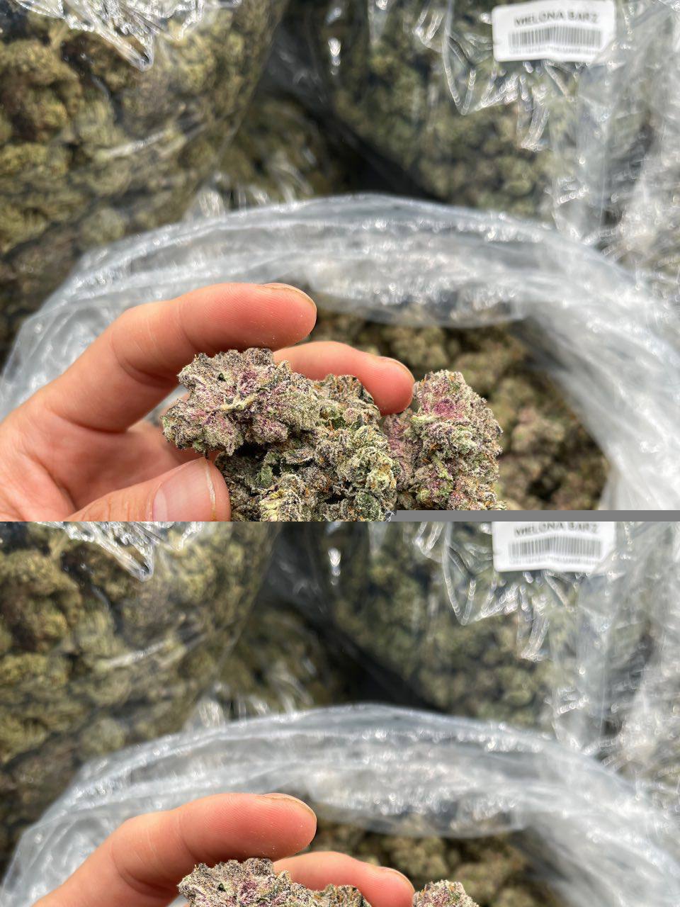 grape diesel candy grape diesel candy