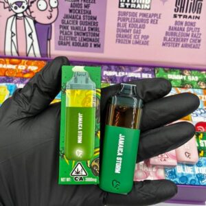 favorites 3g disposable