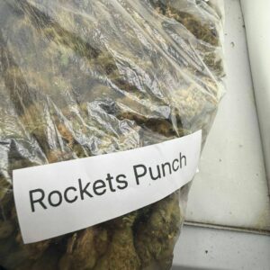 rockets punch strain