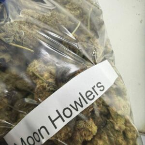 moon howlers strain