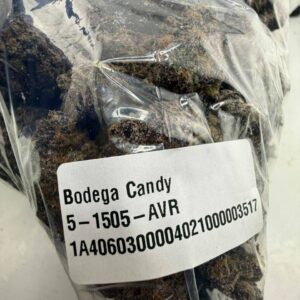 bodega candy strain