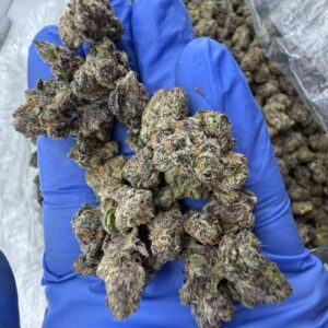 exotic candy strain