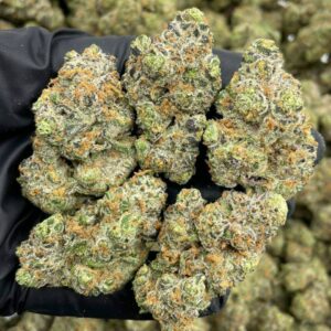 chicken n wafflez strain