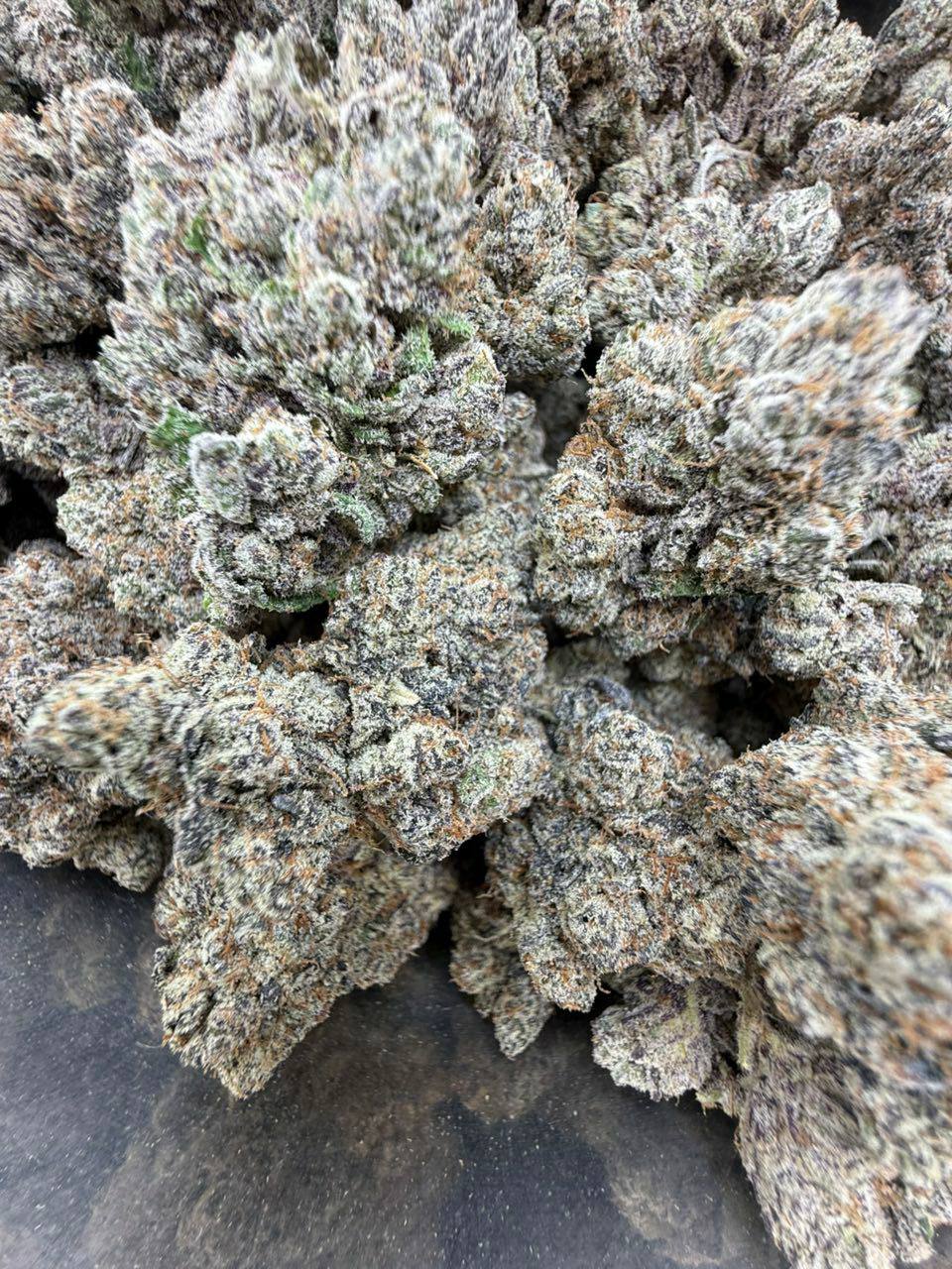 surray strain surray strain