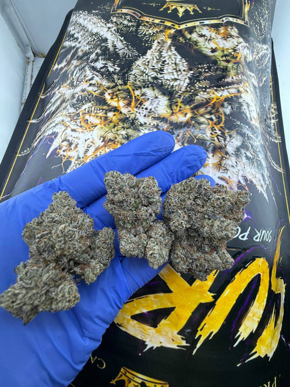 surray strain surray strain