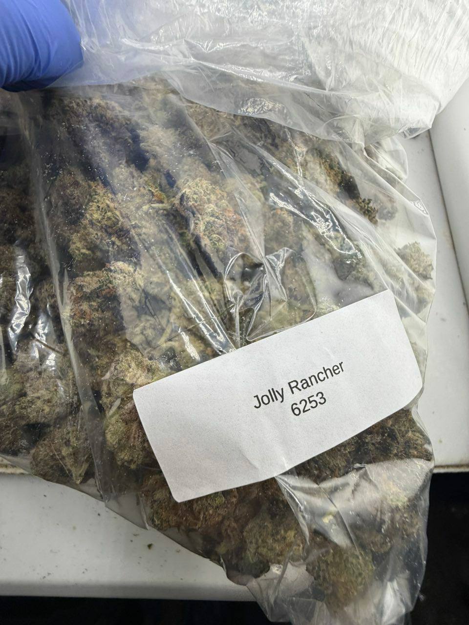 jolly rancher strain jolly rancher strain