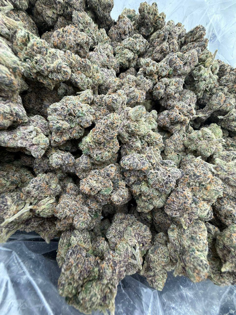 pink star burst strain pink star burst strain