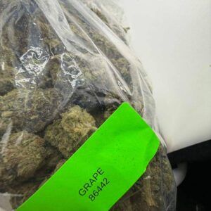 grape strain