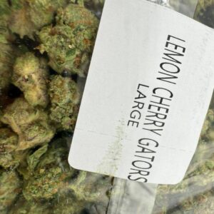 lemon cherry gators strain