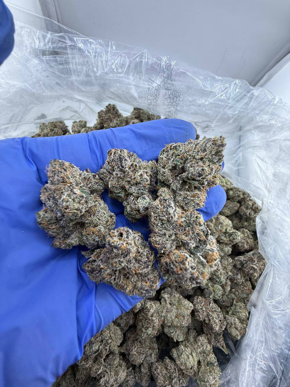super runtz strain super runtz strain