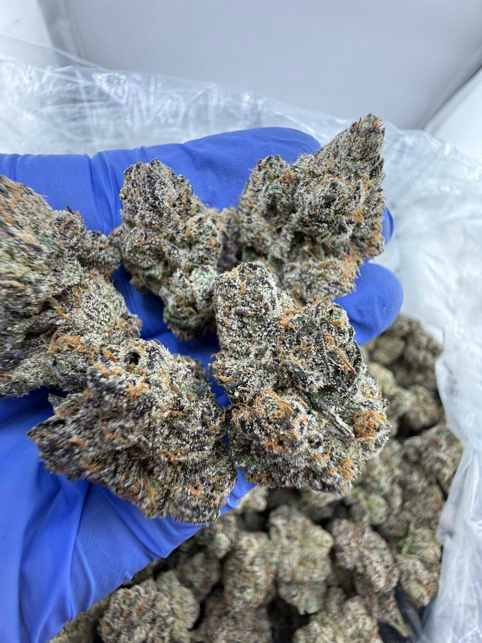 super runtz strain super runtz strain