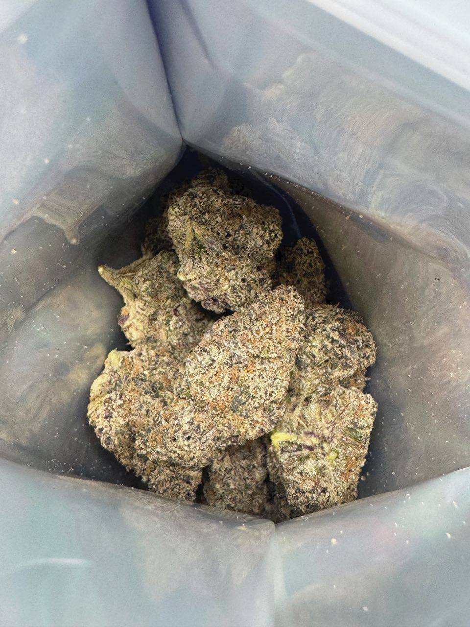fizz premium terp cannabis fizz premium terp cannabis