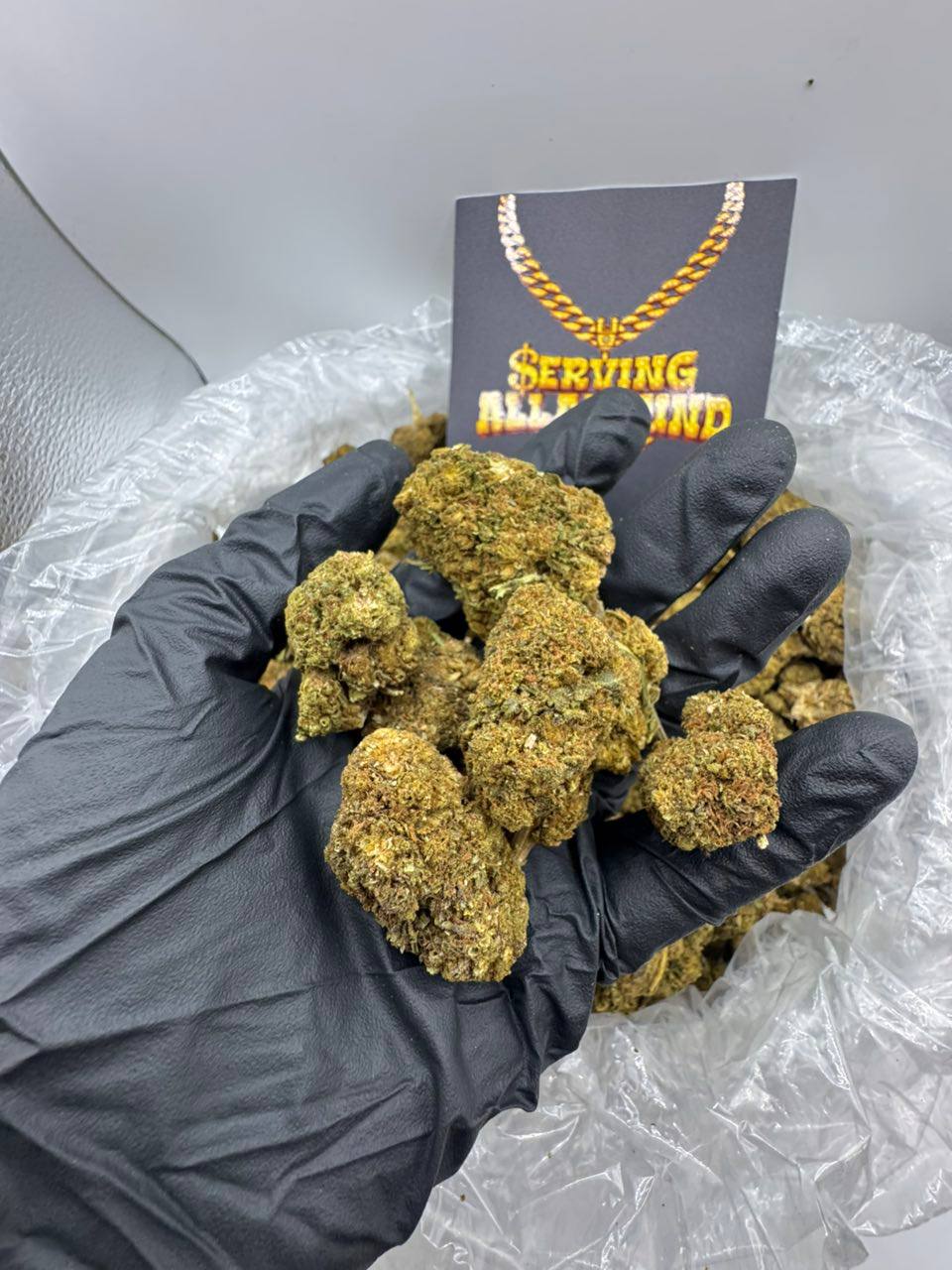 sp110 strain sp110 strain