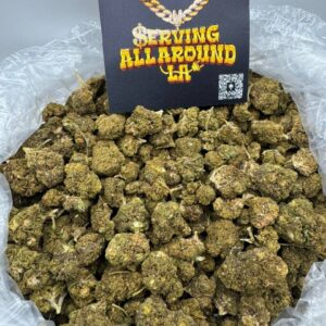sp110 strain