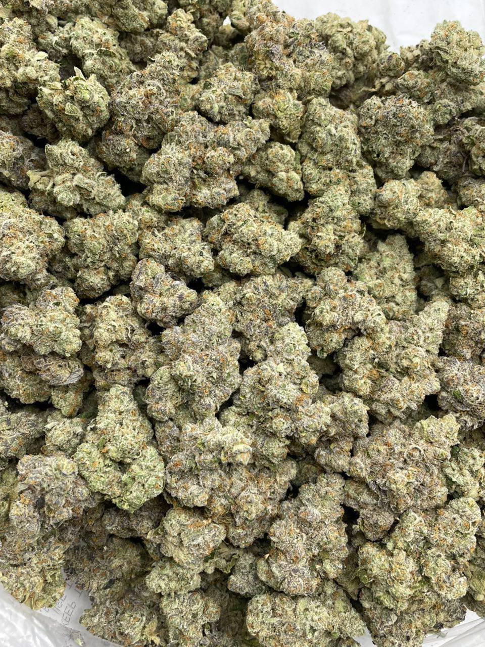 blue cream soda strain blue cream soda strain