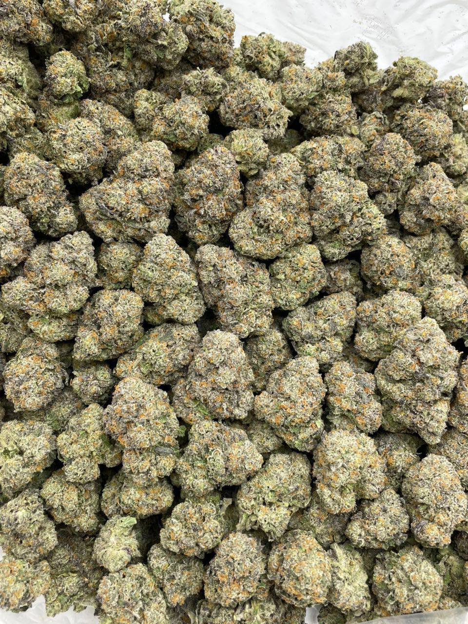 frosted flakes strain frosted flakes strain
