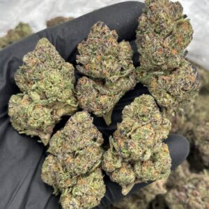 candy runtz strain