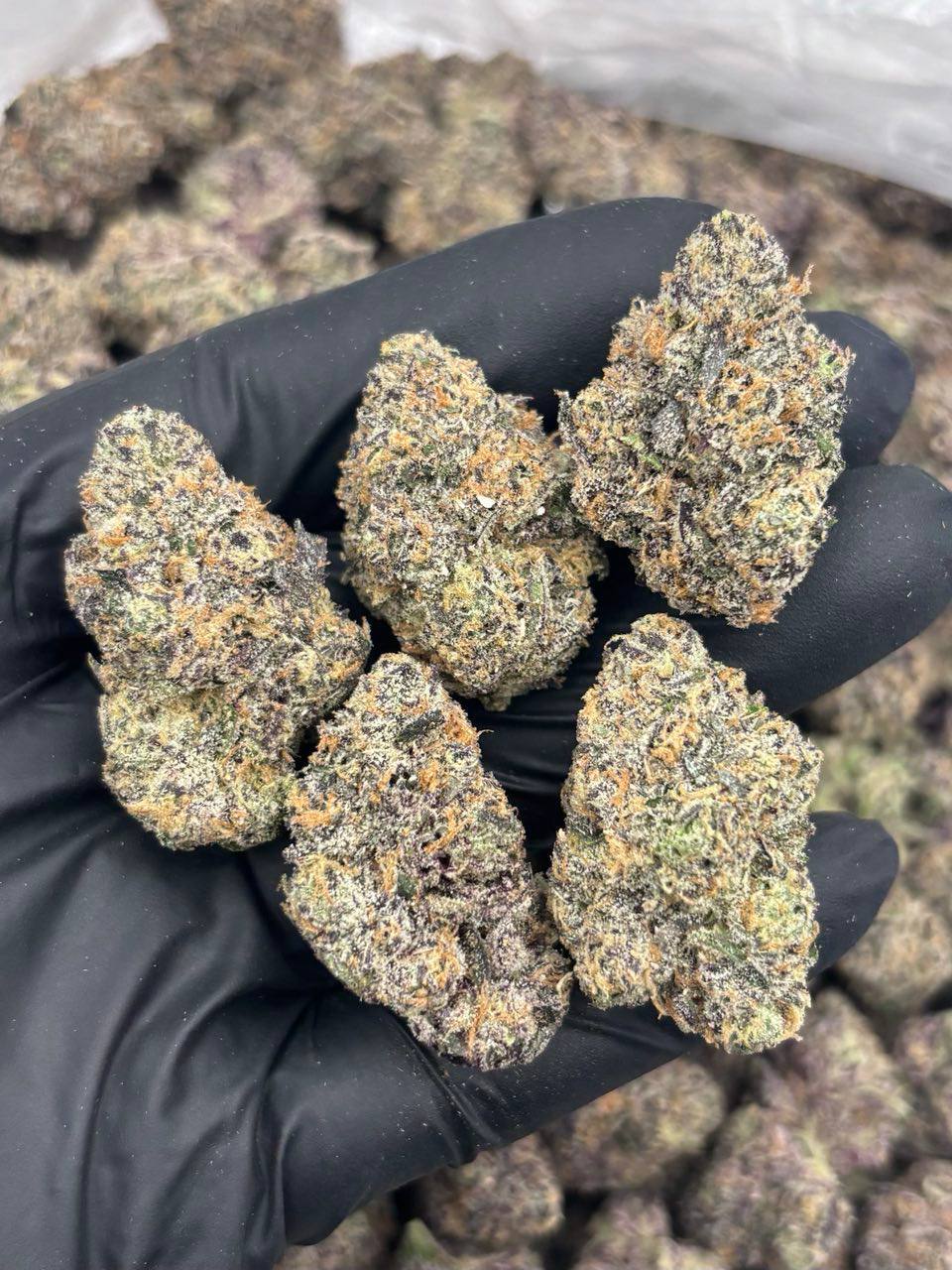 crypto funk strain crypto funk strain