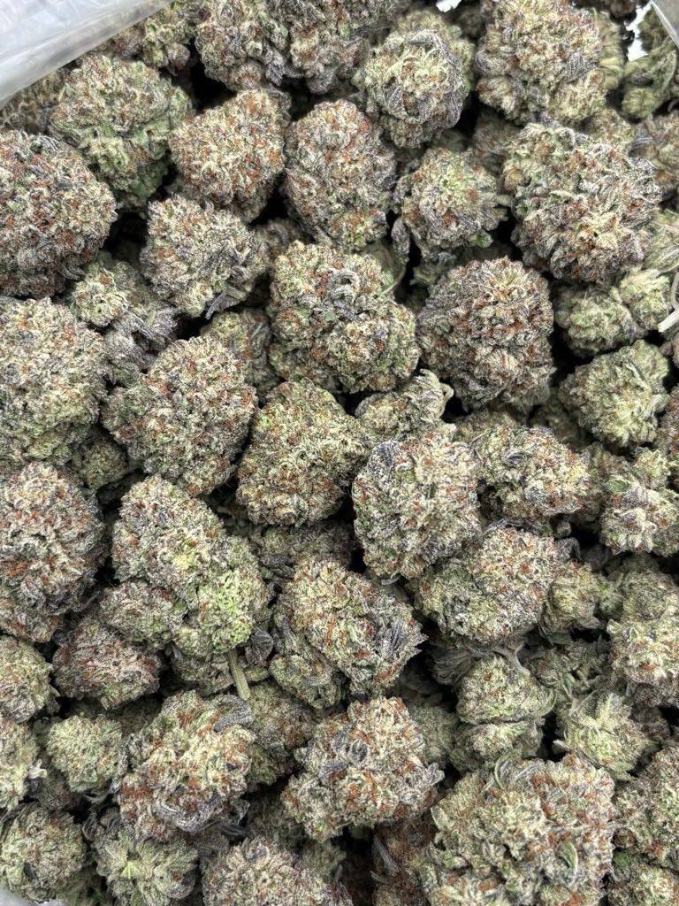 animal crackers strain animal crackers strain