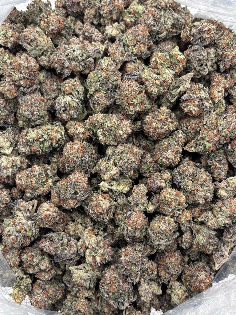 rainbow popperz strain rainbow popperz strain