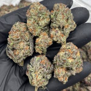 rainbow popperz strain