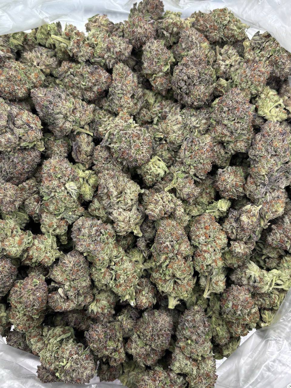 cotten candy strain cotten candy strain