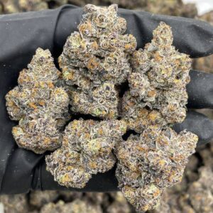 black cherry sharpie strain