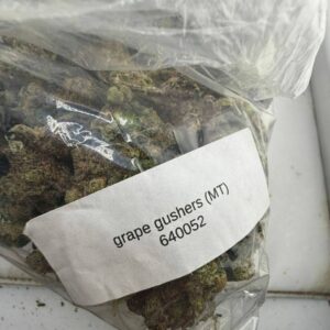 grape gushers strain