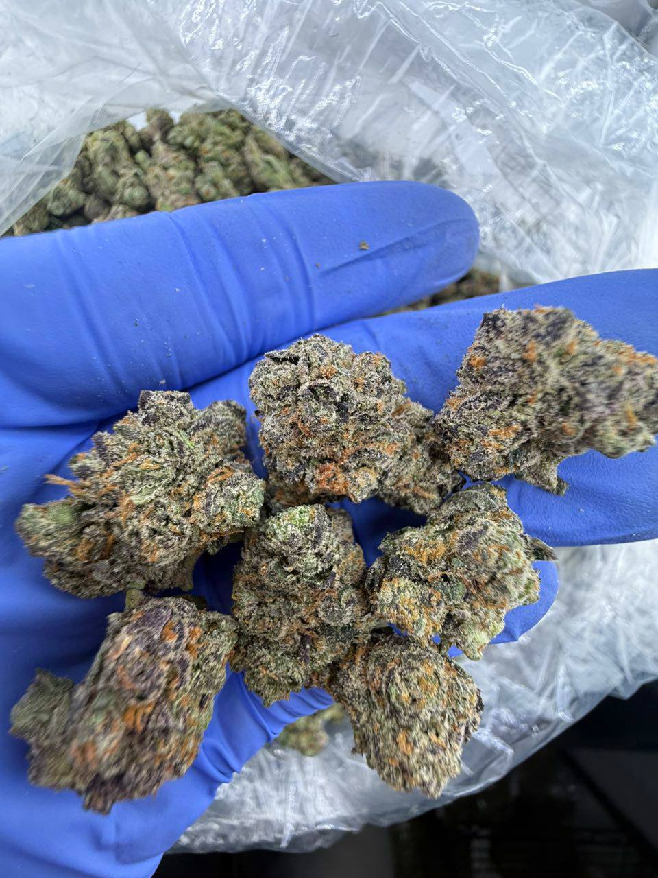 white runtz strain white runtz strain