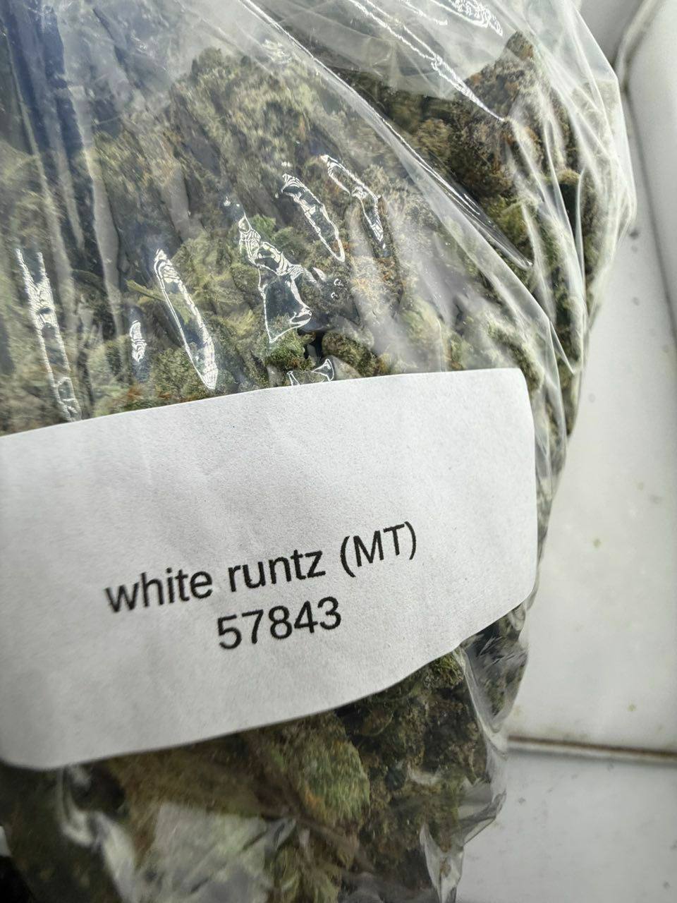 white runtz strain white runtz strain