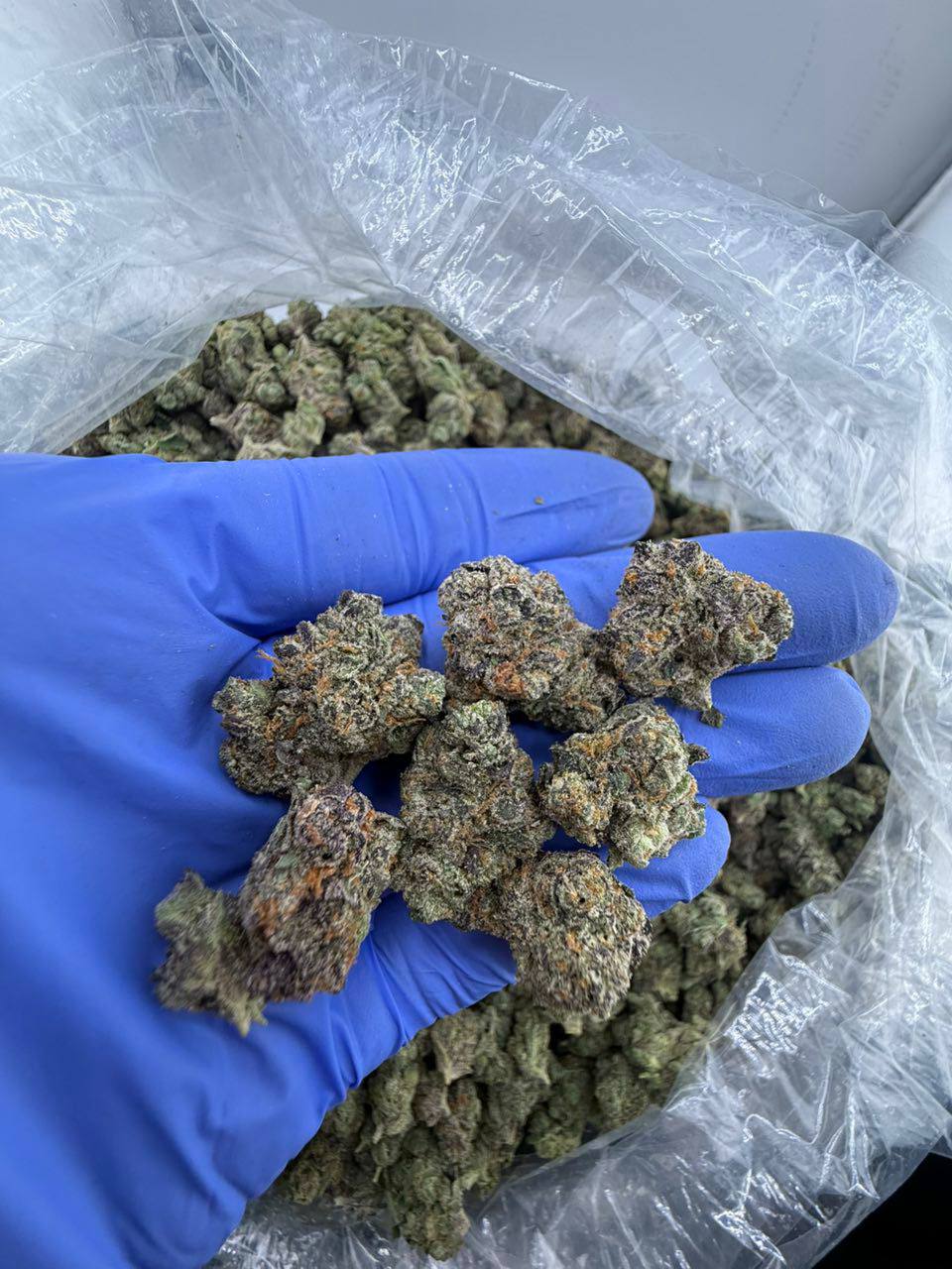 white runtz strain white runtz strain