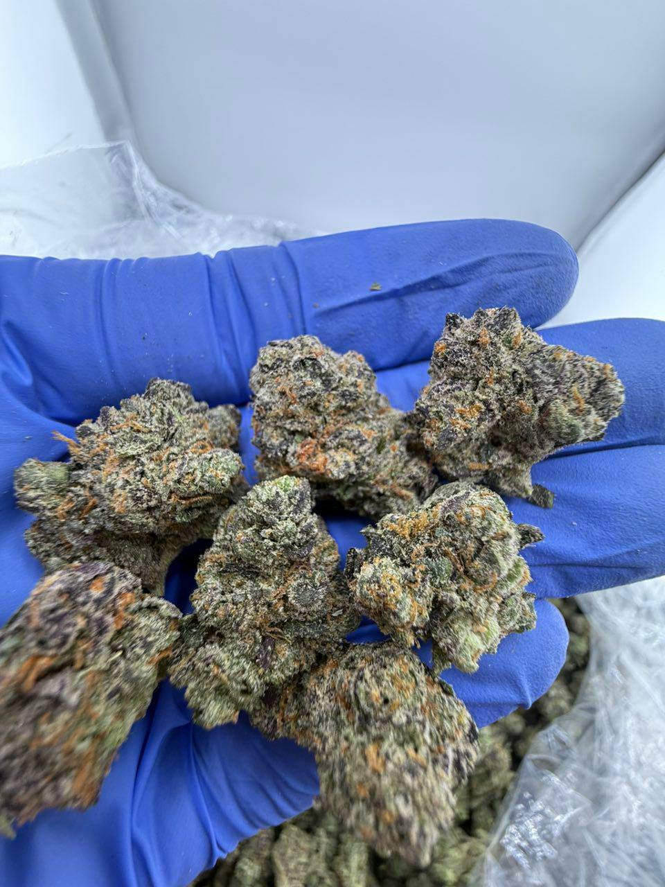 white runtz strain white runtz strain