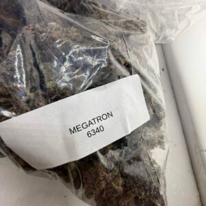 megatron strain
