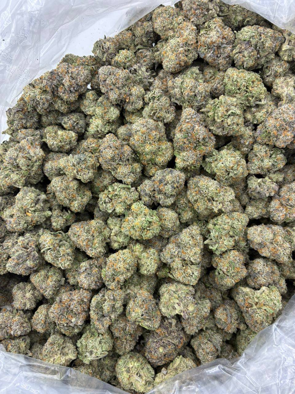 jully donut indoors strain jully donut indoors strain