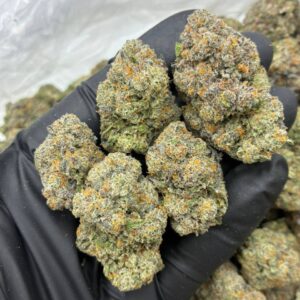 jully donut indoors strain