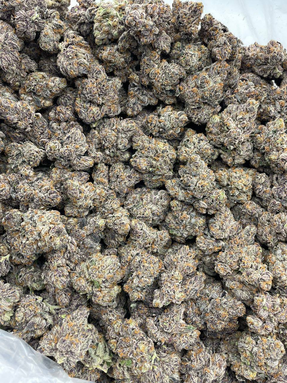 frozen fruit strain frozen fruit strain