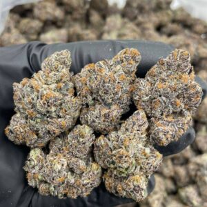 frozen fruit strain