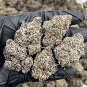 applescotti strain