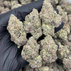 peach tree strain
