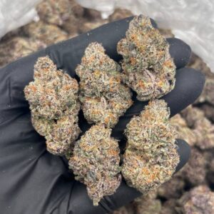 nerds strain